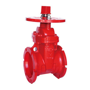 Z45-300 A NRS Gate Valve 300 PSI