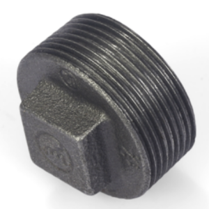 Dummy Plugs Plain Edge Black Malleable Iron Fittings with BSPT Thread, Class 150, FM Approved, UL Listed